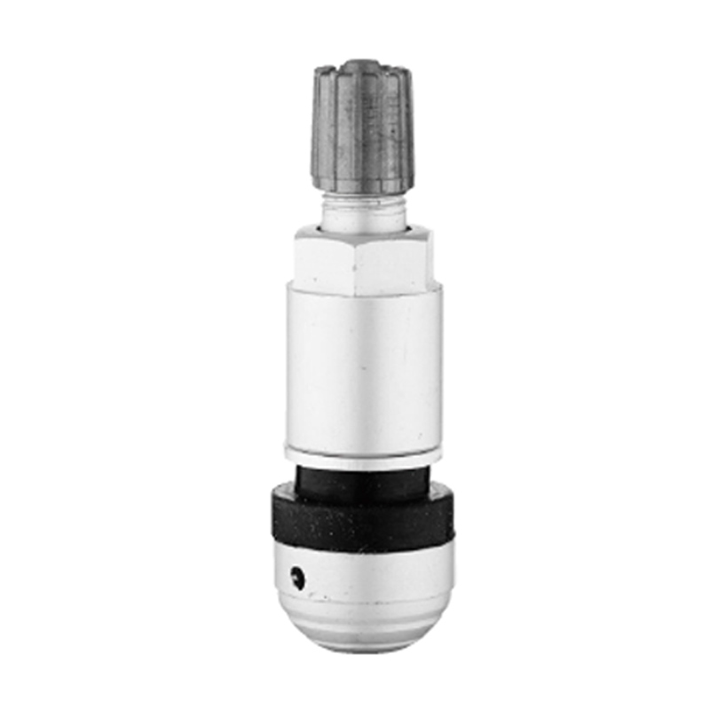 Valvole TPMS-TPMS-09