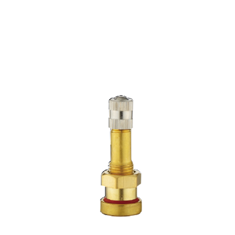 Valvole in ottone con morsetto con guarnizione O-ring stile europeo-V3.20.1