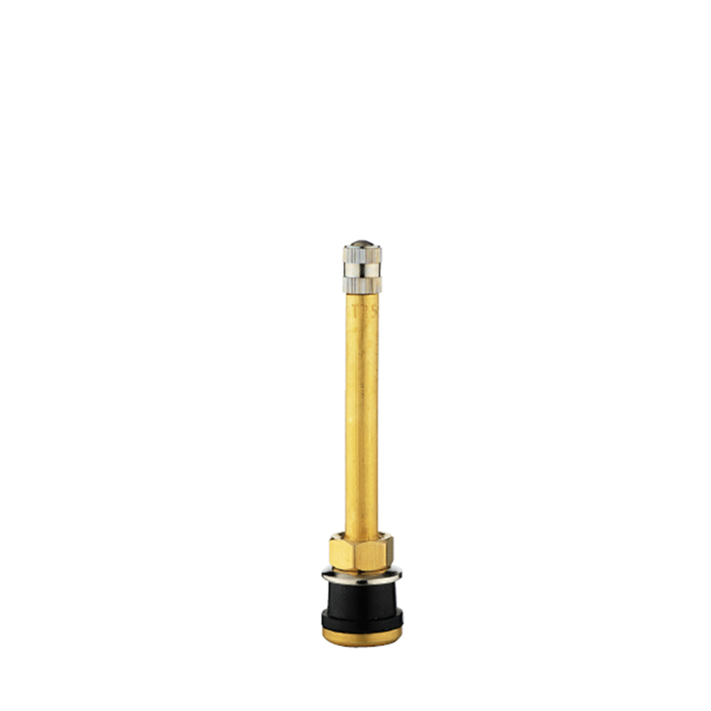Valvole clamp-in metalliche tubeless per camion e autobus-TR571