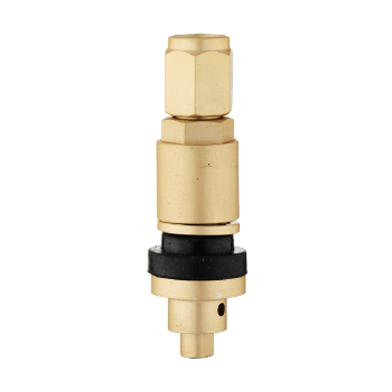 Valvole TPMS-TPMS-10
